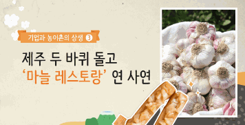 [2020 카드뉴스]③제주 두 바퀴 돌고 '마늘 레스토랑' 연 사연   대표이미지