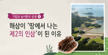 [2020 카드뉴스]④해삼이 '땅에서 나는 제2의 인삼'이 된 이유 대표이미지